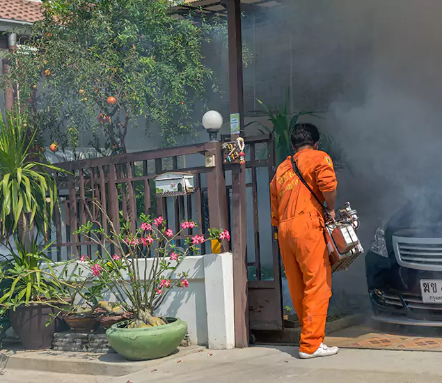 Your Proven Mosquito Fogging Company in Merrifield, VA