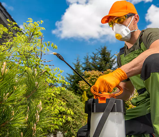 Your Best Bug Spray for Home Team in Merrifield, VA