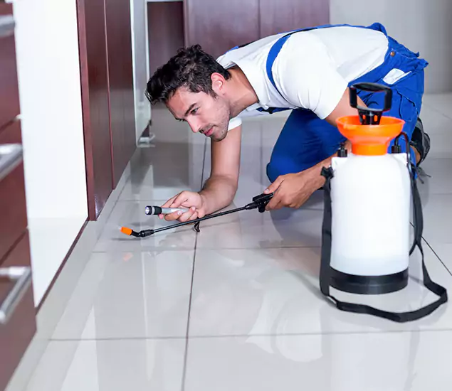 Reliable Professional Mouse Removal: Your Best Mouse Control Company in Merrifield, VA