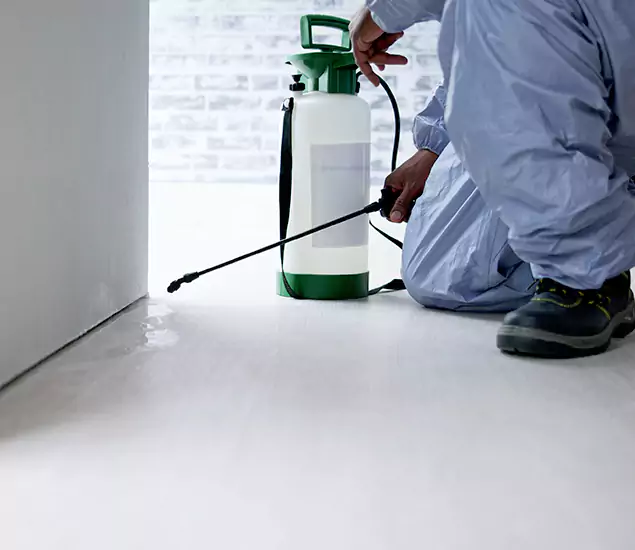 Affordable Pest Control Experts in Merrifield, VA
