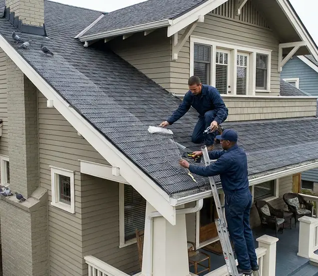 Your Pigeon Control Experts in Merrifield, VA