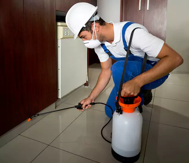 Advanced Termite Pre Treatment Experts in Merrifield, VA