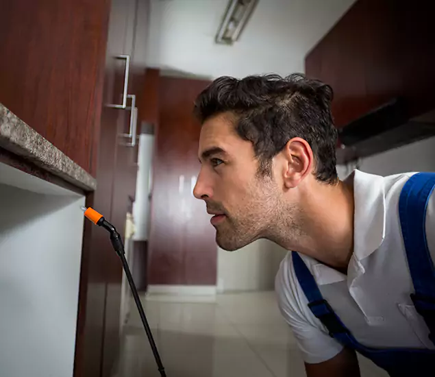 Expert Rodent in Attic Removal: Your Proven Pest Specialists in Merrifield, VA