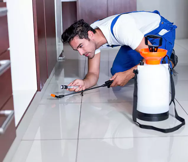 Advanced Slab Termite Treatment Experts You Can Trust&nbsp;in Merrifield, VA