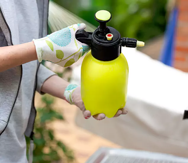 Skilled Residential Small Black Ant Service in Merrifield, VA