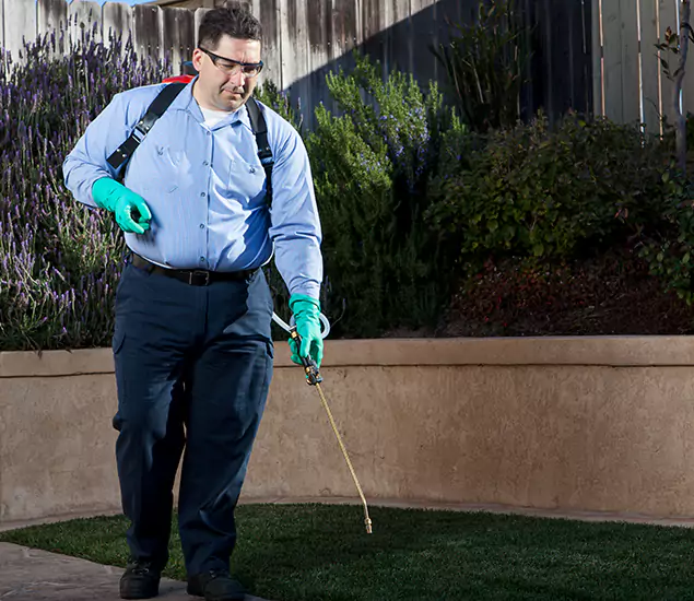 Reliable Termite Barrier Treatment Experts in Merrifield, VA