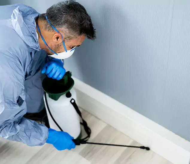Reliable Termite Cost Experts in Merrifield, VA