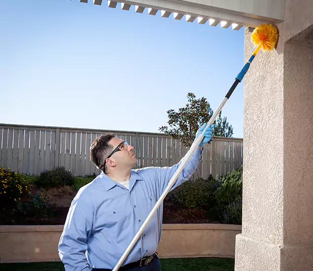 Your Trusted Wasp Removal Company in Merrifield, VA