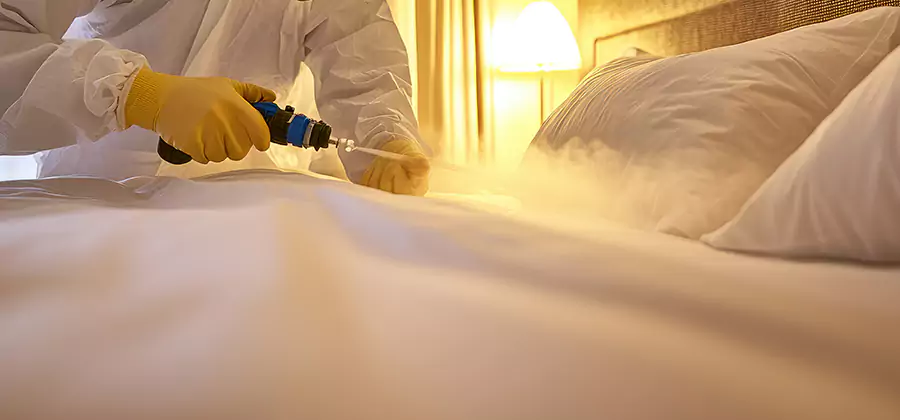 Bed Bug Steam Treatment Services in Merrifield