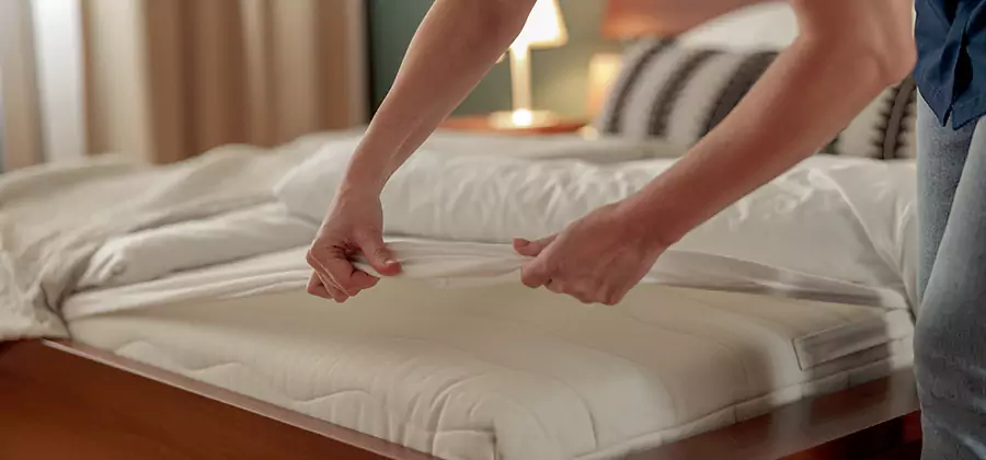 Bed Bug Extermination Services in Merrifield