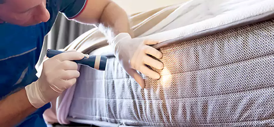 Residential Bed Bug Treatment Cost in Merrifield