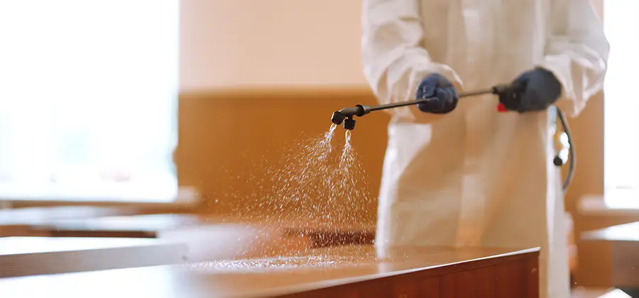 Residential Bed Bug Treatment Option in Merrifield