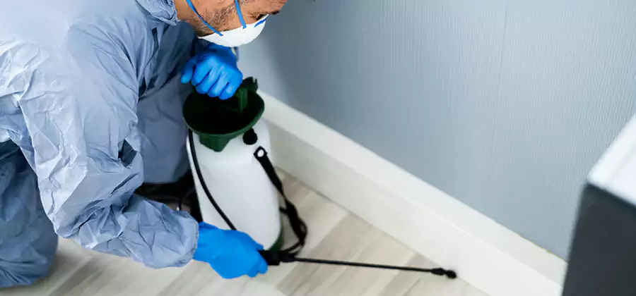 Fumigate Apartment Roaches in Merrifield