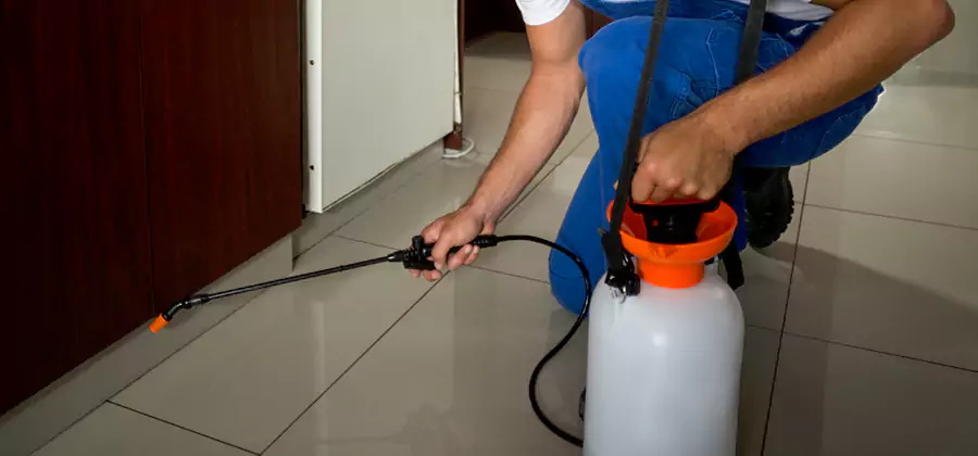 Indoor Mosquito Treatment in Merrifield