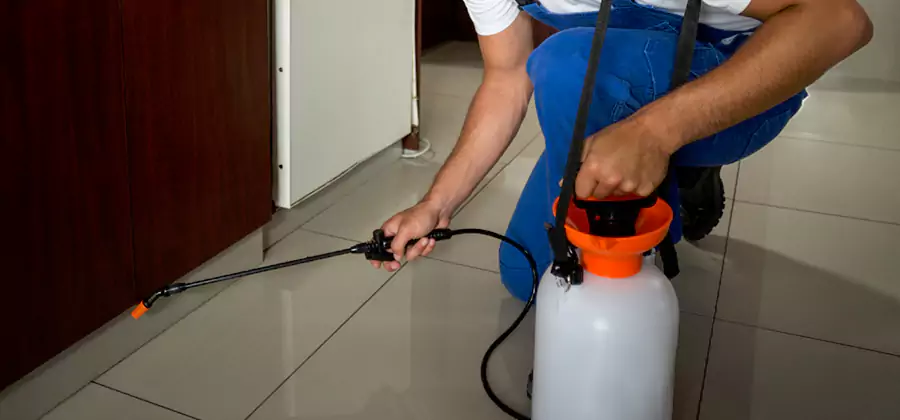 Indoor Insect Killer Solutions in Merrifield