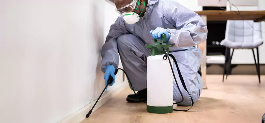 Long Lasting Mosquito Treatment in Merrifield