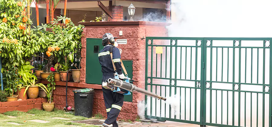 Backyard Mosquito Foggers Service in Merrifield