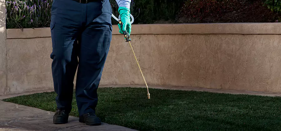 Soil Treatment for New Construction Termites in Merrifield