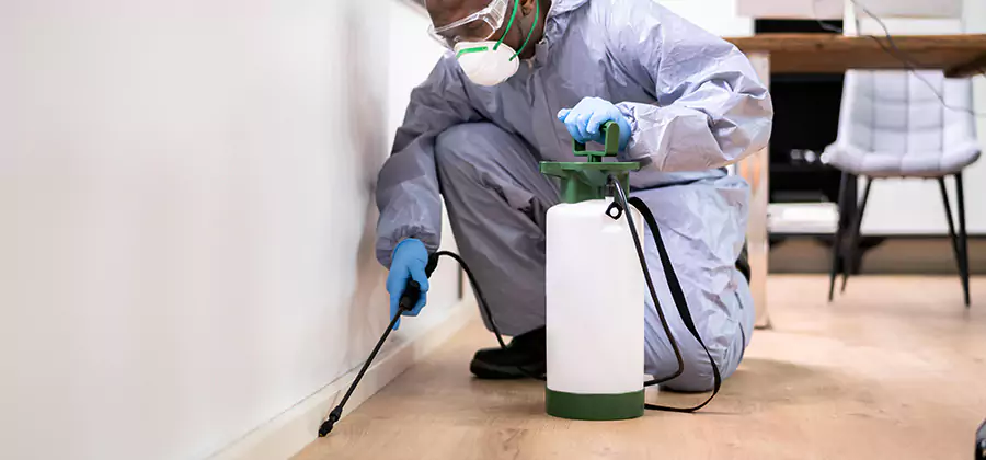 No Tent Termite Extermination With Electric Tool in Merrifield