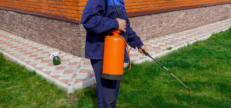 Non Toxic Termite Treatment in Merrifield