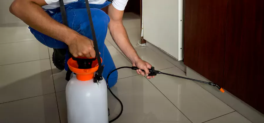 One Time Termite Control in Merrifield