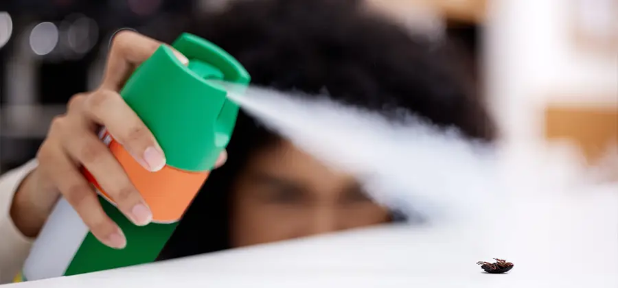 Child Safe Bed Bug Treatment in Merrifield