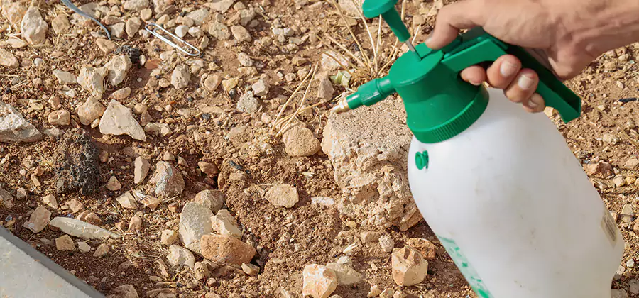 Heat Treatment Termite Cost in Merrifield