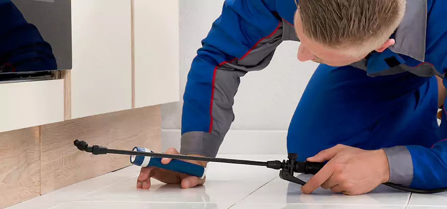 Moisture Treatment For Termite Control Service in Merrifield