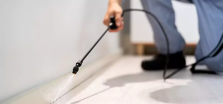 Direct Termite Injection Treatment in Merrifield