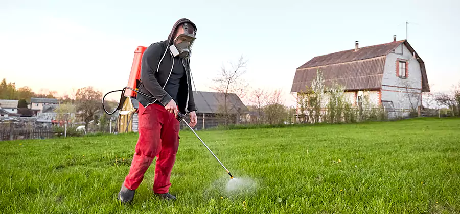 Flea and Tick Pest Control in Merrifield