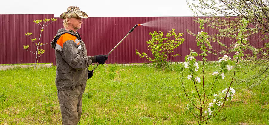 Flea and Tick Spray for Yard in Merrifield