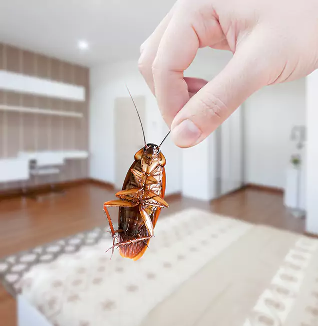 Why Merrifield Pest Control Pro Stand Out for Bed Bug Fumigation in Merrifield, VA?