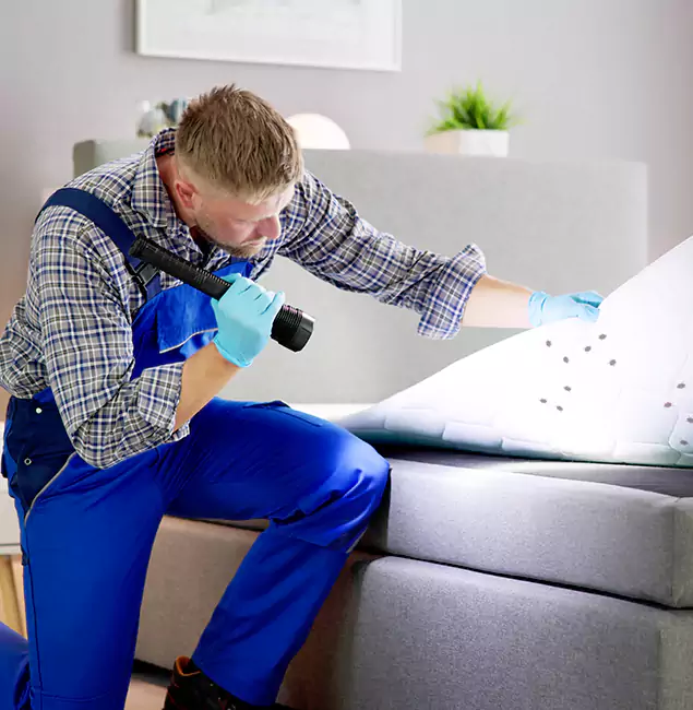 Why Choose Merrifield Pest Control Pro For Bed Bug Heat Treatment in Merrifield, VA?