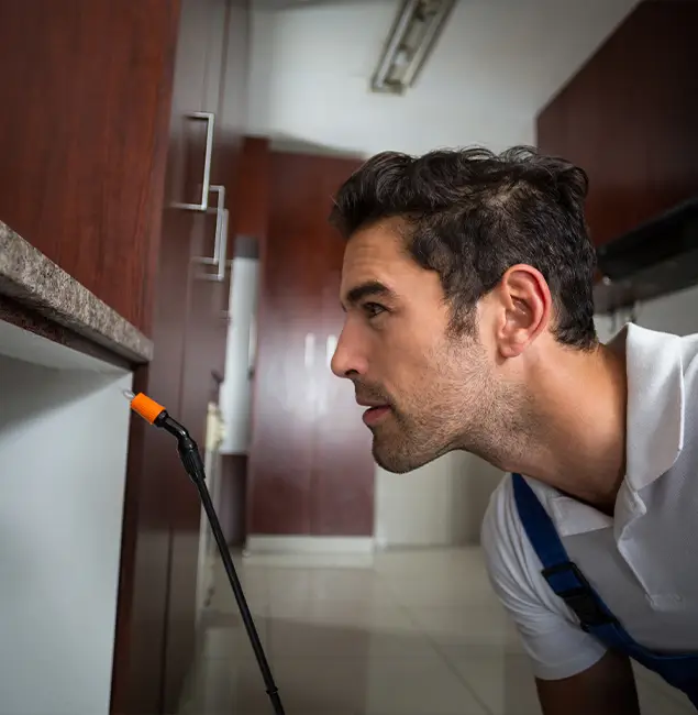 Why Choose Merrifield Pest Control Pro for Bed Bug Removal Cost in Merrifield, VA?