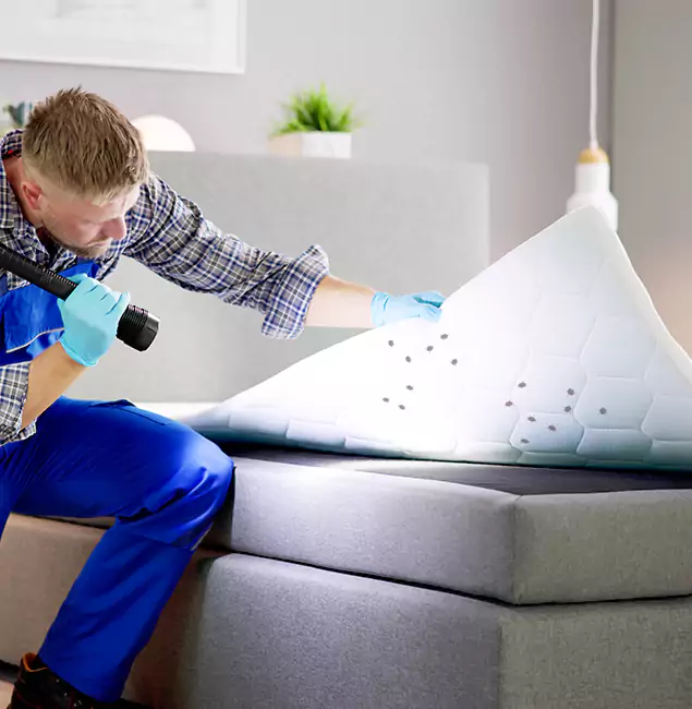 Why Choose Merrifield Pest Control Pro in Merrifield, VA?