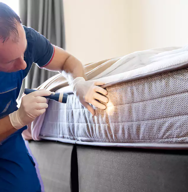 Why Choose Merrifield Pest Control Pro for Bed Bug Services in Merrifield, VA?