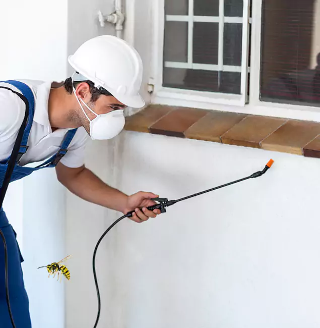 Why Merrifield Property Owners Choose Merrifield Pest Control Pro for Bee Nest Removal?