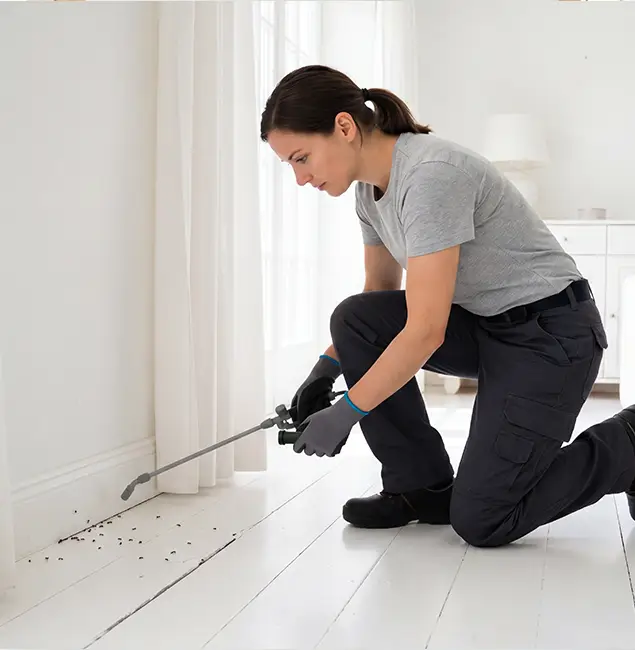 Why Merrifield, VA Property Owners Trust Merrifield Pest Control Pro for Fire Ant Control?