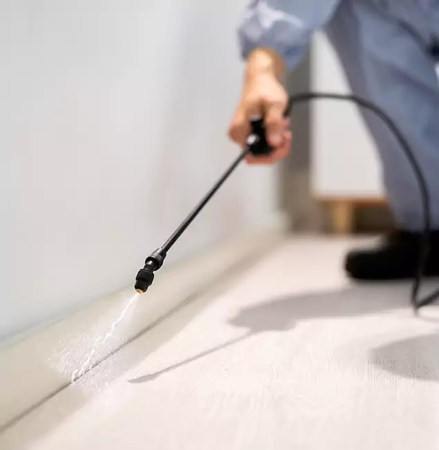 Why Choose Merrifield Pest Control Pro for Termite Treatment in Merrifield, VA?
