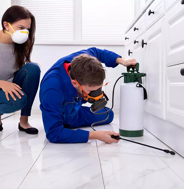 Why Merrifield, VA Homeowners Trust Merrifield Pest Control Pro for Roach Control?