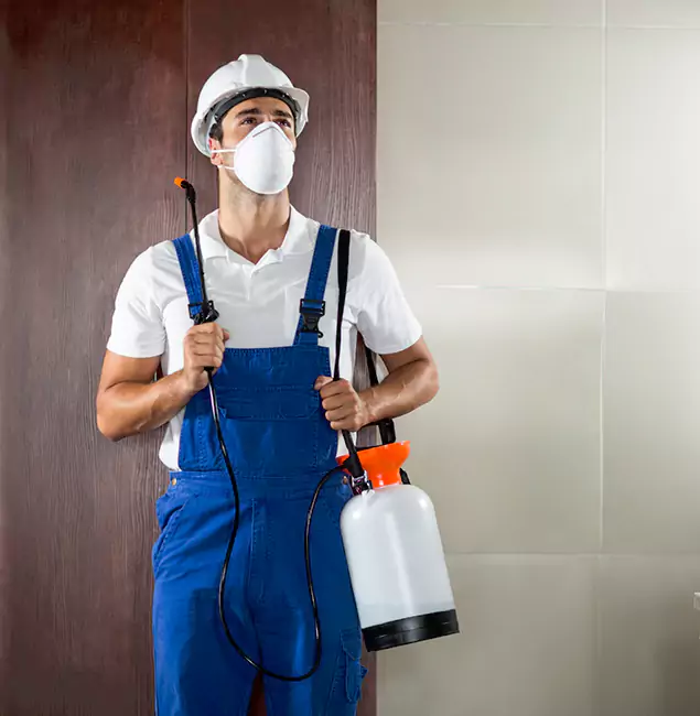 Why Choose Us for Heat Treatment for Termites in Merrifield, VA?