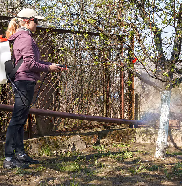 Why Merrifield Homeowners Choose Merrifield Pest Control Pro for Mosquito Abatement?