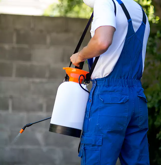 Why Merrifield Homeowners Rely on Merrifield Pest Control Pro for Mosquito Control?