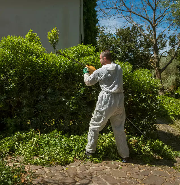 Why Merrifield Pest Control Pro Leads Mosquito Control in Merrifield, VA?