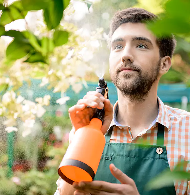 Why Merrifield Pest Control Pro Is the Best Mosquito Control Company in Merrifield, VA?