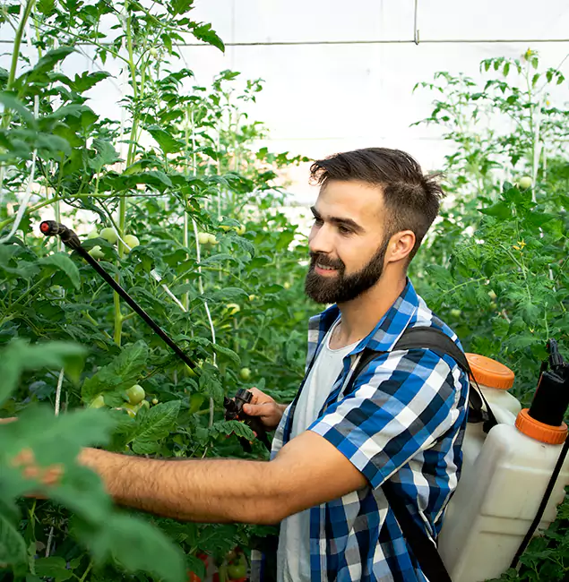 Why Merrifield Homeowners Choose Merrifield Pest Control Pro for Mosquito Spraying?