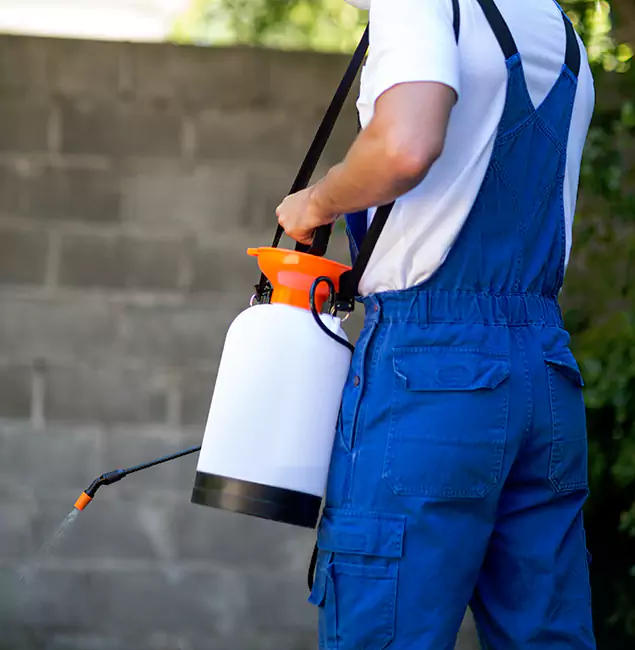 Why Merrifield Pest Control Pro Delivers the Best Mosquito Control in Merrifield, VA?
