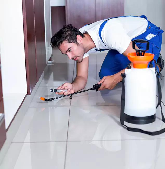 Why Merrifield Pest Control Pro Is the Proven Choice in Merrifield, VA?