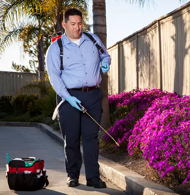 Why Choose Merrifield Pest Control Pro in Merrifield, VA?