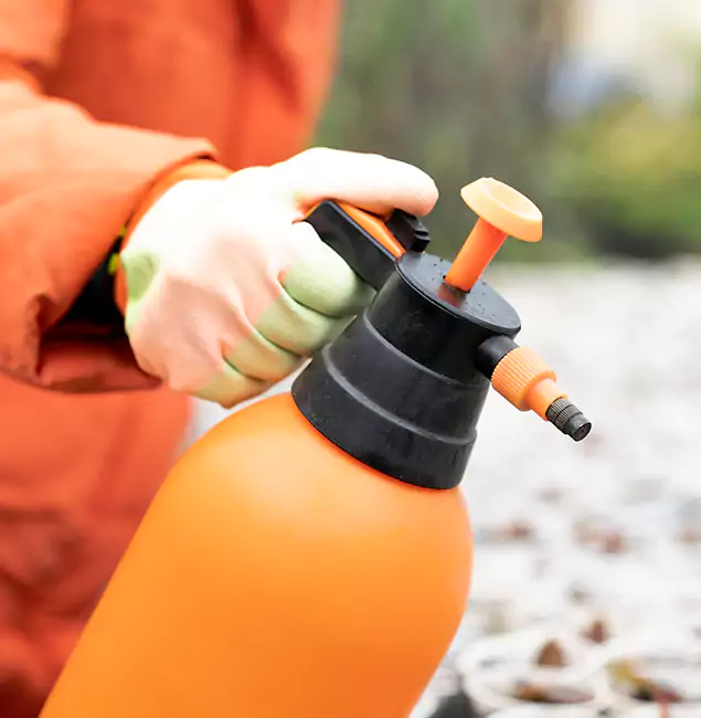 Why Choose Merrifield Pest Control Pro for Orange Termite Treatment in Merrifield, VA?